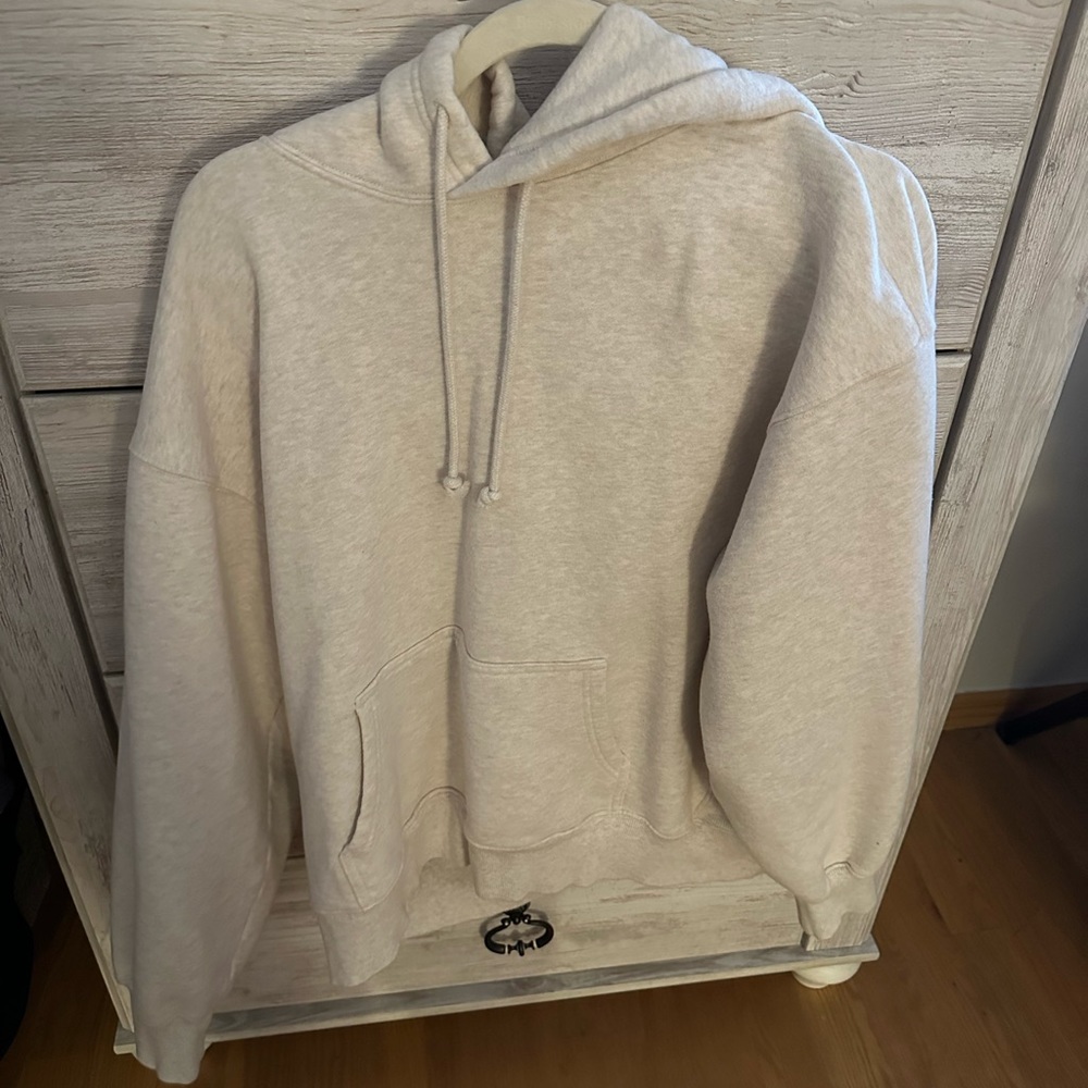 Aritzia hoodie